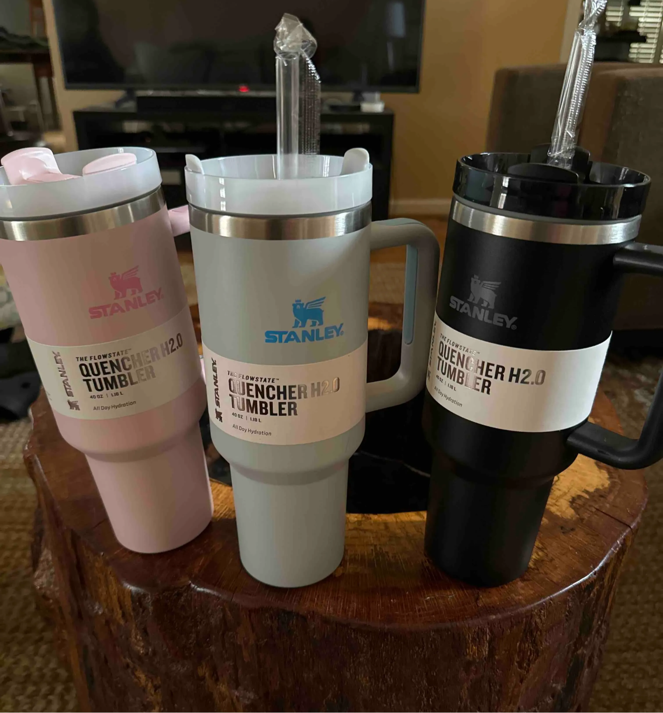 Stanley Tumbler Cup