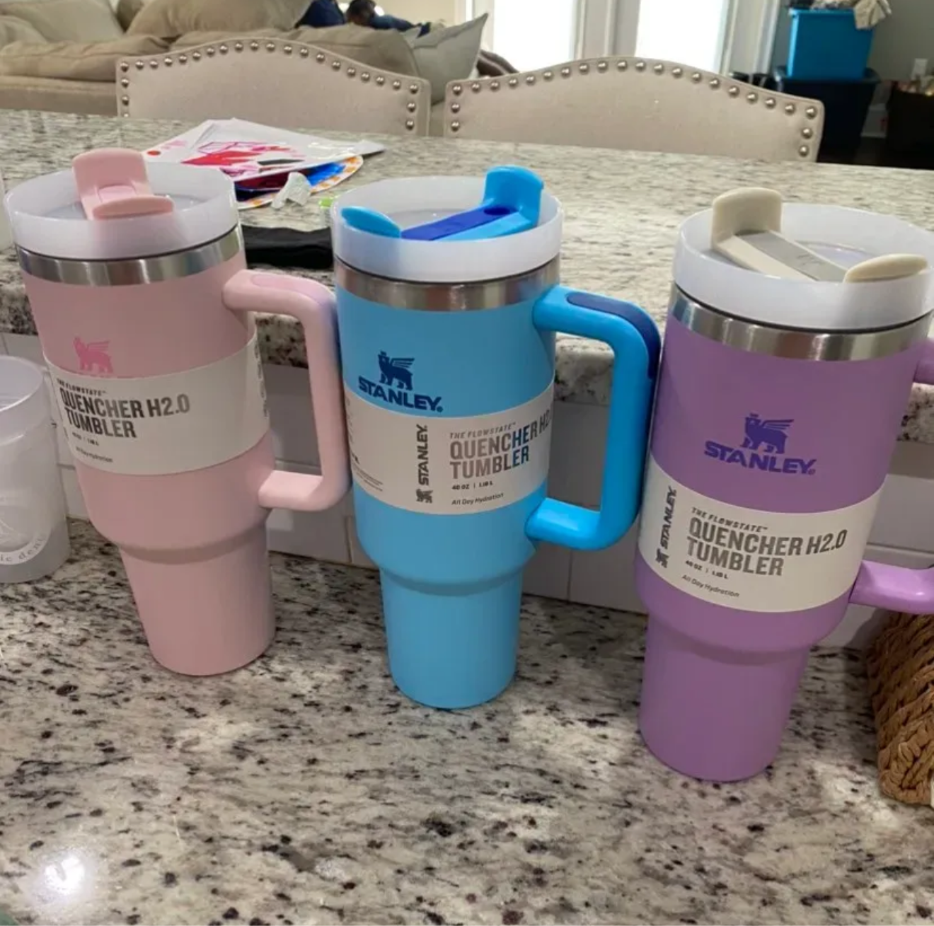 Stanley Tumbler Cup
