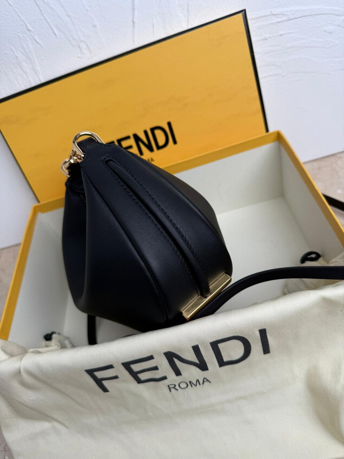 Nano Fendigraphy Bag
